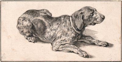 Liegender Hund von Aelbert Cuyp